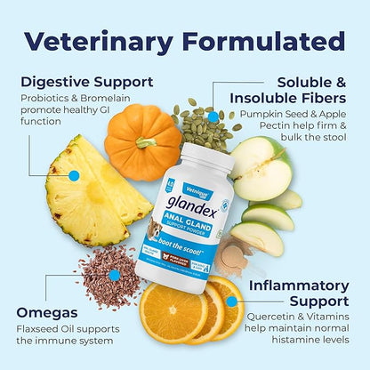 Glandex Dog Fiber Supplement Powder for Anal Glands with Pumpkin, Digestive Enzymes & Probiotics - Vet Recommended Healthy Bowels and Digestion - Boot The Scoot (Pork Liver, 4.0oz Powder)