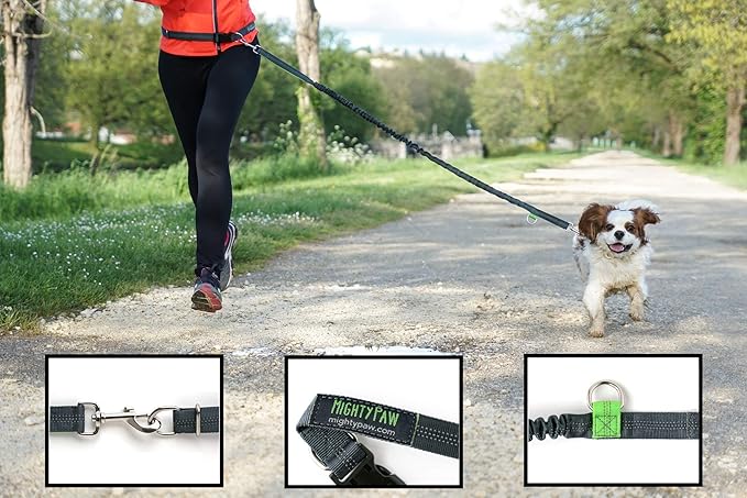 Mighty Paw Hands Free Dog Leash | Bungee Waist Leash for Dog Walking. Dog Running Leash Hands Free. Hands Free Leash for Large Dogs, Medium & Small Dogs. Dog Leash Waist Belt (36" - 48") Up To 150 lbs