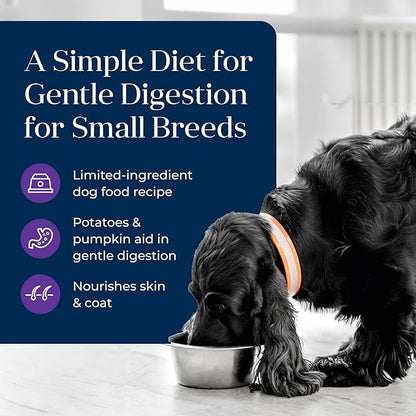 Blue Buffalo Basics Grain-Free Wet Dog Food for Small Breed Adult Dogs, Limited Ingredient Diet, Turkey Recipe, 3.5-oz. Cup