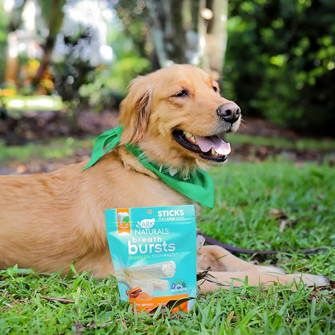 ARK NATURALS Breath Bursts Brushless Toothpaste, Dog Dental Sticks for Large Breeds, Unique Texture Helps Clean Teeth & Freshen Breath, Cinnamon, 6 oz, 1 Pack
