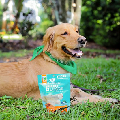 ARK NATURALS Breath Bursts Brushless Toothpaste, Dog Dental Sticks for Large Breeds, Unique Texture Helps Clean Teeth & Freshen Breath, Cinnamon, 6 oz, 1 Pack