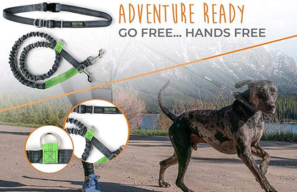 Mighty Paw Hands Free Dog Leash | Bungee Waist Leash for Dog Walking. Dog Running Leash Hands Free. Hands Free Leash for Large Dogs, Medium & Small Dogs. Dog Leash Waist Belt (36" - 48") Up To 150 lbs