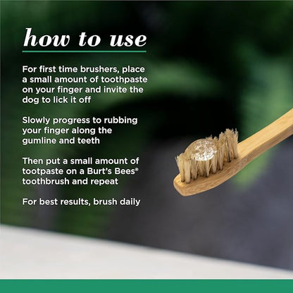 Burt's Bees for Pets Toothpaste with Honeysuckle and Peppermint Oil, in Fresh Mint Flavor - Dog Toothpaste Mint Flavor with 99.5% Naturally Derived Formula, Best Dog Toothpaste, 2.5 oz