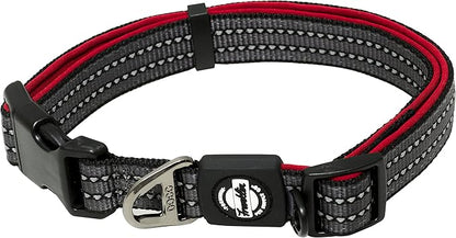 Nylon Dog Collar – Reflective – Franklin Pet Supply Co™ – Comfort Fit – Neoprene – Adjustable – Large – Red