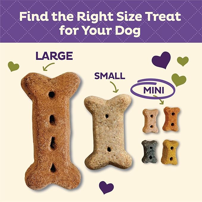 Wellness Old Mother Hubbard Pick of the Patch Grain Free Natural Dog Treats, Crunchy Oven-Baked Biscuits, Ideal for Training, Mini Size, 16 ounce bag