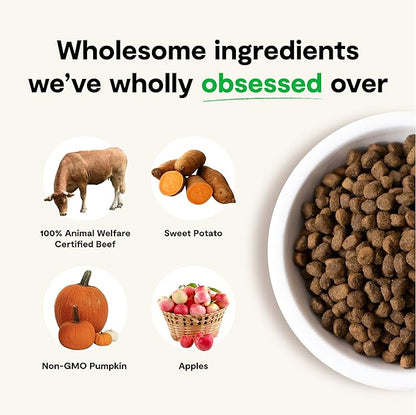 Open Farm Grass-Fed Beef Grain-Free Dry Dog Food, 100% Humanely Raised Wagyu Recipe with Non-GMO Superfoods and No Artificial Flavors or Preservatives, 22 lbs