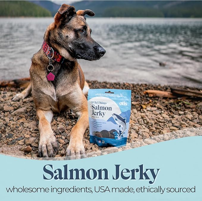 OTIS Alaskan Salmon Jerky for Dogs | Salmon Jerky Recipe - Protein Packed, Ethically-Sourced Sustainable Healthy Dog Treats - with DHA and EPA Healthy Dog Jerky Treat | 4 oz