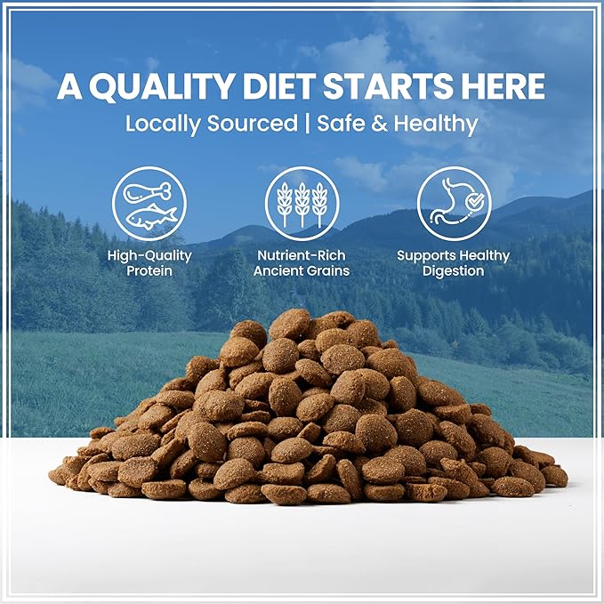 Muenster Ancient Grains Dog Food (4lb) - Chicken & Pork Flavored Dry Dog Food for Large Dogs - Gluten Free, Non-GMO High Protein Dog Food - Healthy Digestive Large Breed Dog Kibble