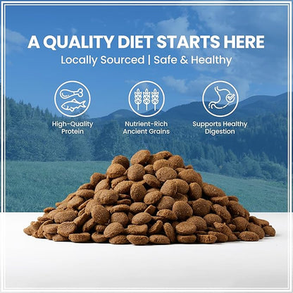 Muenster Ancient Grains Dog Food (4lb) - Chicken & Pork Flavored Dry Dog Food for Large Dogs - Gluten Free, Non-GMO High Protein Dog Food - Healthy Digestive Large Breed Dog Kibble