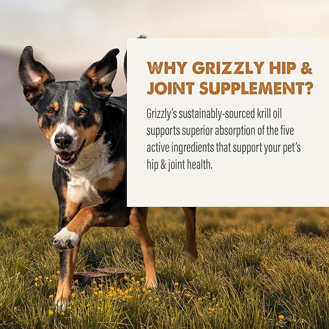 Grizzly Joint Aid for Dogs Liquid Hip and Joint Support (Extra Strength), 32 fl oz