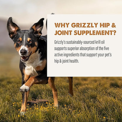 Grizzly Joint Aid for Dogs Liquid Hip and Joint Support (Extra Strength), 32 fl oz