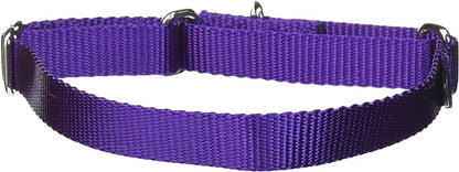 PetSafe Martingale Collar, 3/4" Medium, Deep Purple
