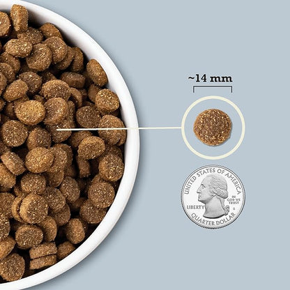ACANA Wholesome Grains Dry Dog Food, Sea to Stream, Saltwater and Freshwater Fish & Grains Recipe, 4lb