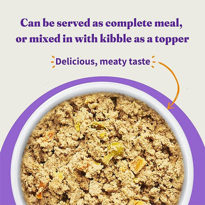 Halo Adult Wet Dog Food, Beef Recipe in Broth, Great as Nutritious Meals or Healthy Dog Food Toppers, 13.2 oz Dog Food Can (Pack of 6)