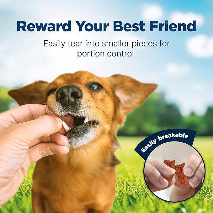 Blue Buffalo Nudges Jerky Bites Dog Treats, Made in The USA with Natural Ingredients, Bite-Sized Pieces, Chicken, 16-oz. Bag (Pack of 2)