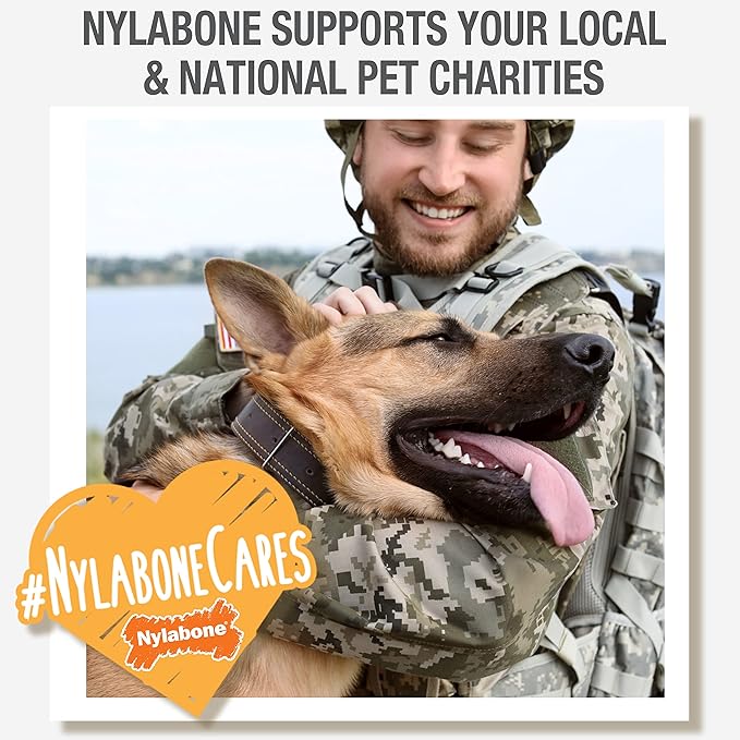 Nylabone Nutri Dent Dog Dental Chews - Natural Dog Teeth Cleaning & Breath Freshener - Dental Treats for Dogs - Filet Mignon Flavor, Small (1 Count)