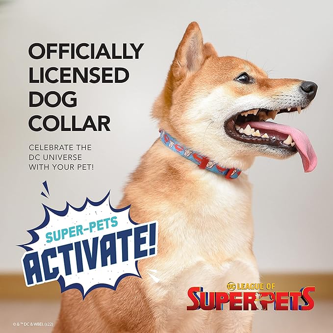 DC Comics League of Super-Pets Krypto Superman Dog Collar, Large | Officially Licensed DC League of Super-Pets Dog Collar | Large Dog Collar DC Krypto Super Dog Superman Style with D-ring for Leash
