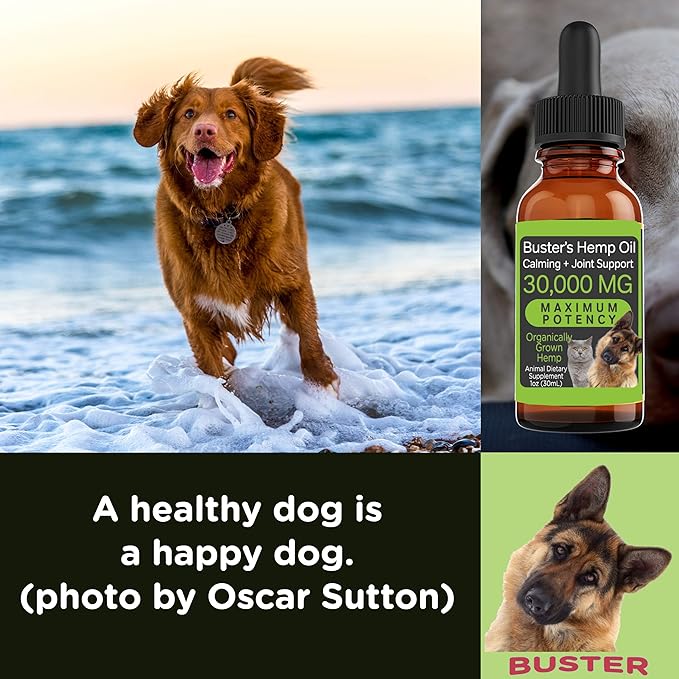 Max Potency Buster's Organic Hemp Oil treats for Dogs & Cats - Perfect Ratio Omega 3 & 6 - Made in USA - Hip & Joint Health, Natural Relief, Calming (4-Month)