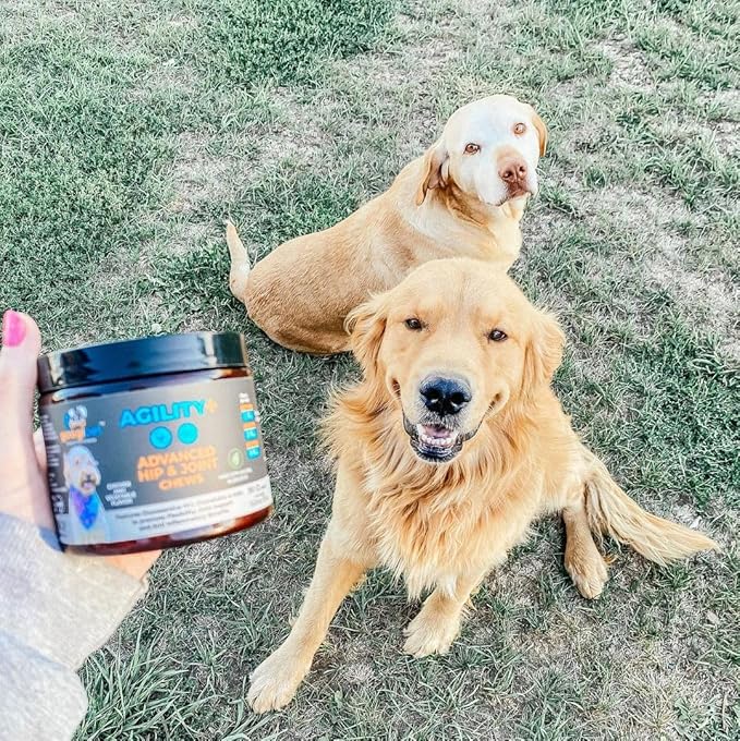 Googipet Hip and Joint Supplement for Dogs - Glucosamine for Dogs – Soft Chews w/Green Lipped Mussels for Dogs, Turmeric for Dog Arthritis, Pain Relief, & Mobility, Ages, & Breeds