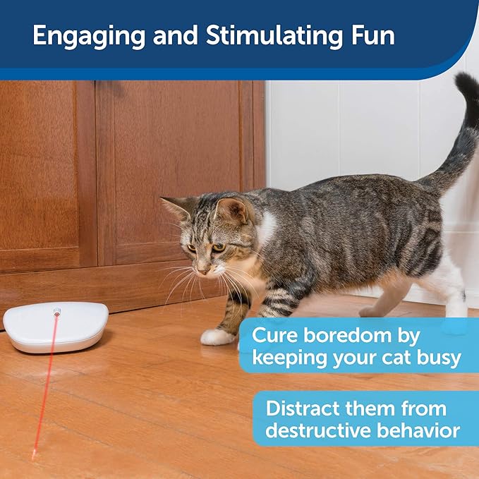 PetSafe Laser Tail Cat Toy – Fun and Safe Laser Light Game for Cats – Hands Free Play