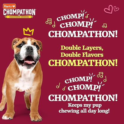 Hartz New Chompathon Gripper Bone Dog Chew Toy for Aggressive Chewers, Double Layered Flavored with Chicken & Bacon