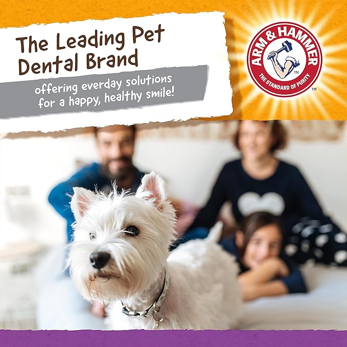 Arm & Hammer for Pets Super Treadz Mini Gator Dental Chew Toy for Dogs | Best Dental Dog Chew Toy | Dog Dental Chew Toys Reduce Plaque & Tartar Buildup Without Brushing | for Dogs up to 25 Lbs