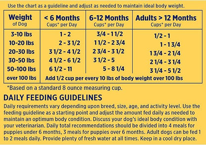 Nature’s Recipe Grain Free Salmon, Sweet Potato & Pumpkin Recipe Dry Dog Food, 24 lb. Bag