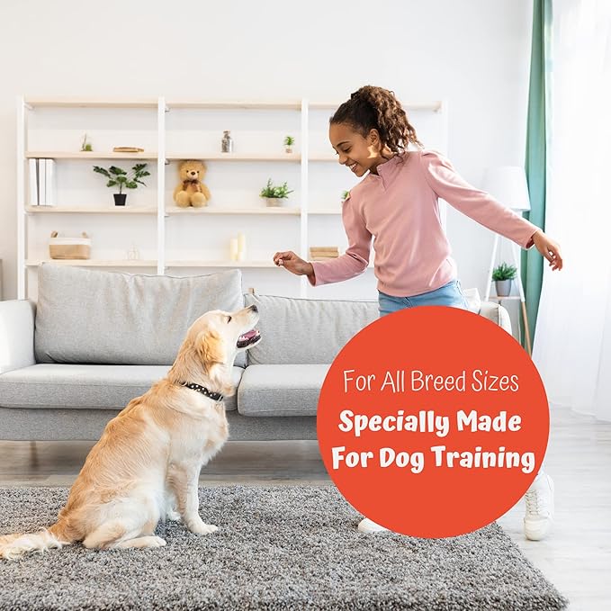 Premium 1lb Dog Jerky Treats | Dog Training | Dog Walking | Natural Grillers | Healthy Smoked Beef Chicken Salmon Chews Snacks Beef Blueberry Jerky