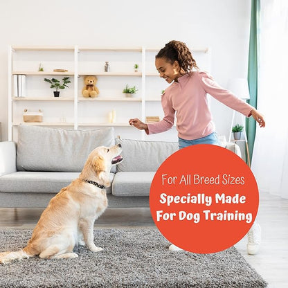 Premium 1lb Dog Jerky Treats | Dog Training | Dog Walking | Natural Grillers | Healthy Smoked Beef Chicken Salmon Chews Snacks Beef Blueberry Jerky