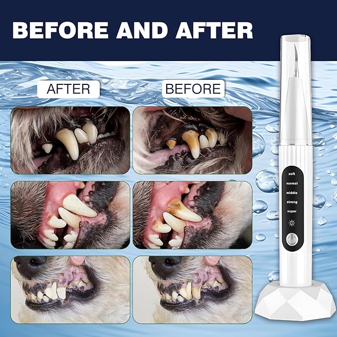 Dog Plaque Remover for Teeth,Dog Tooth Tartar Remover,5 Modes Pet Ultrasonic Tooth Cleaner, Dental Care Teeth Cleaning Kit, Teeth Cleaner for Large and Small Dogs