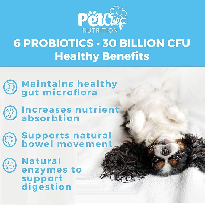 Pet Chef Probiotics Prebiotics Chew Treats for Dogs - Digestive Gut & Bowel Health Blend, Ideal for Puppies and Old Dogs with Stomach Issues, Allergy Relief, Small & Large Canine Probiotic Health