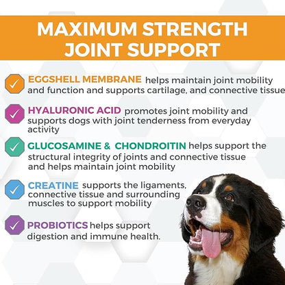 Nootie ProgilityMAX Hip & Joint Supplement for Large Dogs, Maximum Strength Dog Joint Support with Eggshell Membrane, Glucosamine and Chondroitin, 60 count