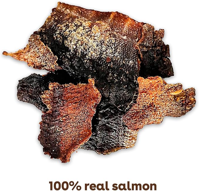 Pupford Salmon Jerky Treats for Dogs for Large & Small Dogs of All Ages | Made in USA, 100% Real Meat & No Fillers | Dogs Love These Tasty Dog Snacks (Salmon 4 oz)