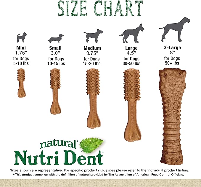 Nylabone Nutri Dent Dog Dental Chews - Natural Dog Teeth Cleaning & Breath Freshener - Dental Treats for Dogs - Filet Mignon Flavor, Small (28 Count)