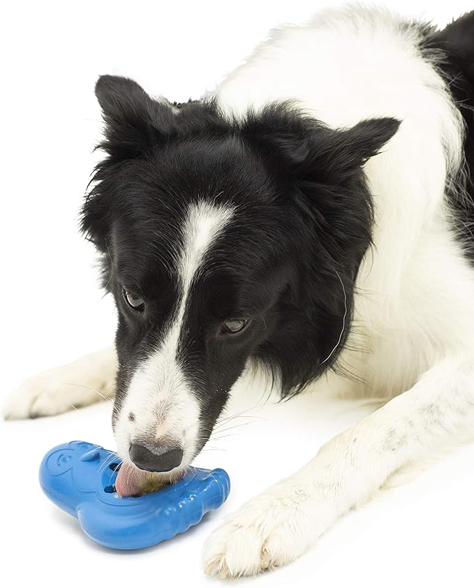 PetSafe BB-Penguin-ML Chilly Penguin Treat Holding Dog Toy, Medium/Large, for Large Breeds