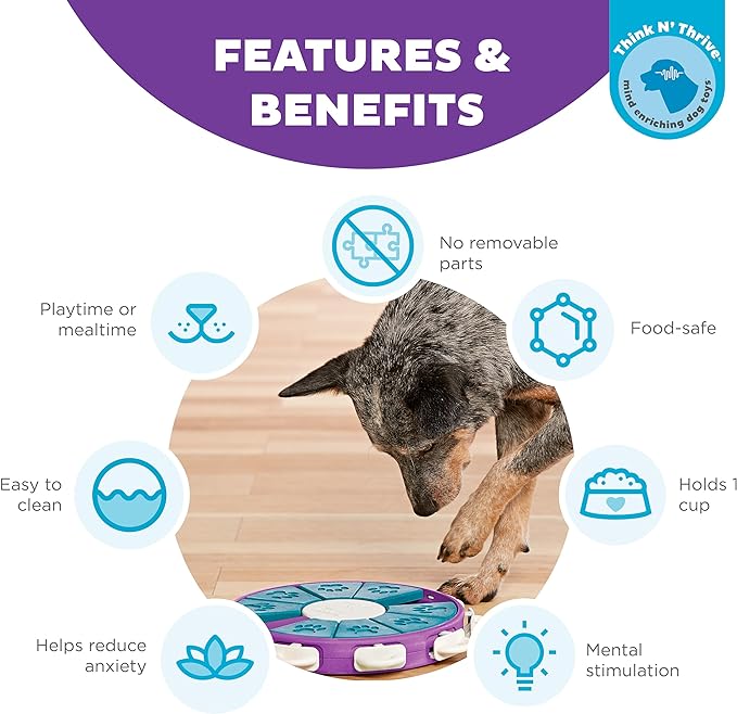 Outward Hound Nina Ottosson Dog Twister Dog Puzzle Interactive Treat Puzzle Dog Enrichment Dog Toy, Level 3 Advanced, Purple