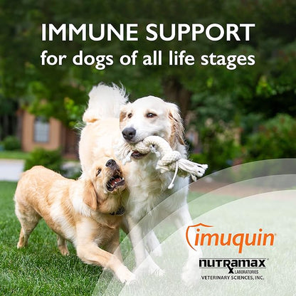 Nutramax Laboratories Nutramax Imuquin Immune Health Supplement Powder for Dogs, with Beta Glucans, Marine Lipids, Vitamins and Minerals, 30 Packets, Updated Version