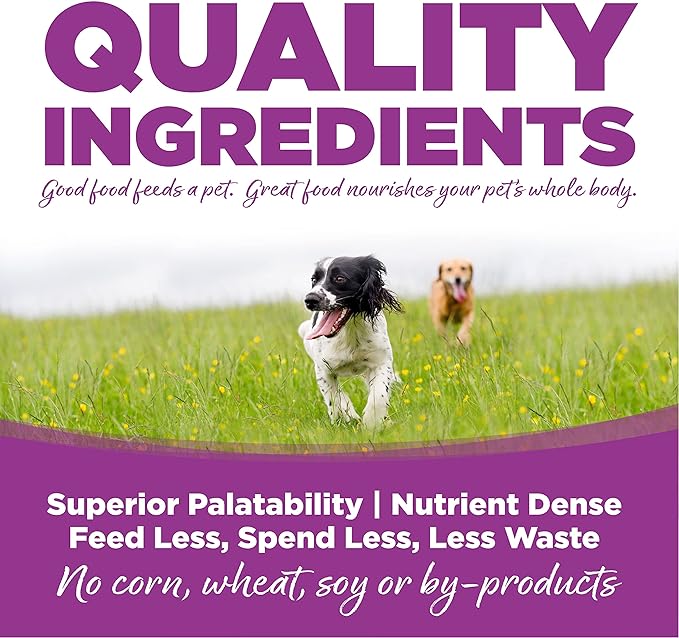 Large Breed Puppy Chicken & Rice Dry Dog Food Size: 1.5-Lb Bag