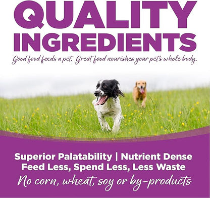 Large Breed Puppy Chicken & Rice Dry Dog Food Size: 1.5-Lb Bag