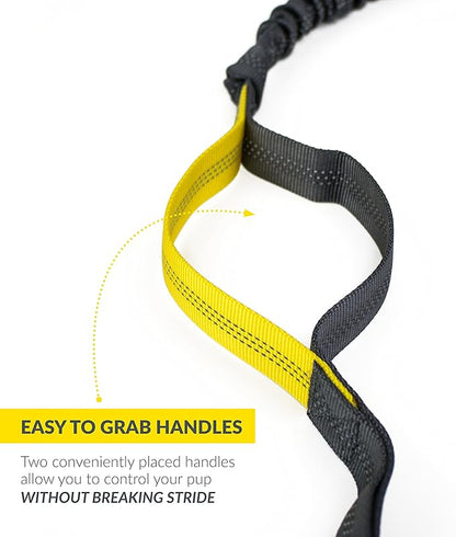 Hands Free Dog Leash for Running, Walking, Hiking, Durable Dual-Handle Bungee Leash is 4 Feet Long with Reflective Stitching, and an Adjustable Waist Belt That Fits up to 42 Inch Waist