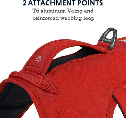 Ruffwear, Web Master, Multi-Use Support Dog Harness, Hiking and Trail Running, Service and Working, Everyday Wear, Red Sumac, XX-Small