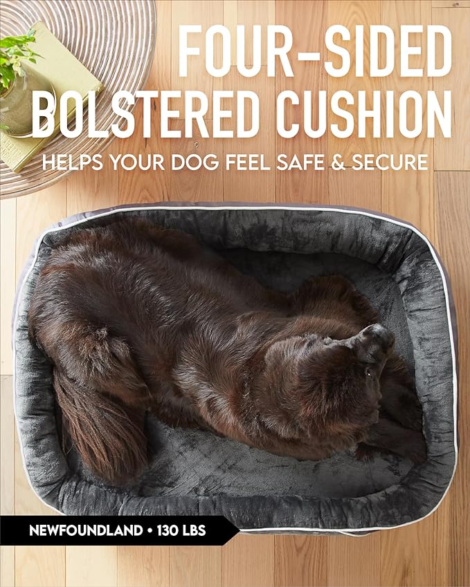 Orthopedic Dog Bed for Extra Extra Large Dogs, Dog Couch Design with Egg Foam Support, Removable, Machine Washable Plush Cover and Non-Slip Bottom with Four Sided Bolster Cushion (Gray)