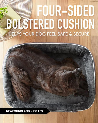 Orthopedic Dog Bed for Extra Extra Large Dogs, Dog Couch Design with Egg Foam Support, Removable, Machine Washable Plush Cover and Non-Slip Bottom with Four Sided Bolster Cushion (Gray)