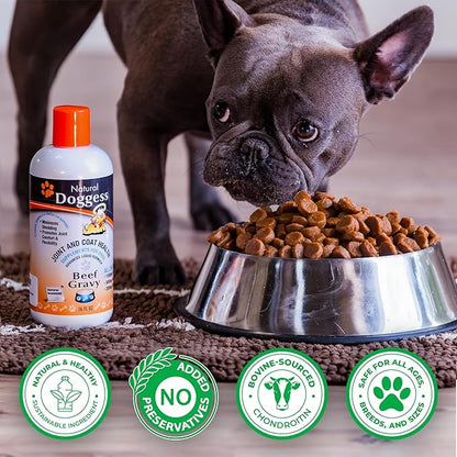 Dressing Best Hip and Joint Supplement for Dogs, Glucosamine & Chondroitin/Joint Health/Salmon Oil for Dogs Skin and Coat Health, Delicious Beef Gravy Flavor, 32 Oz