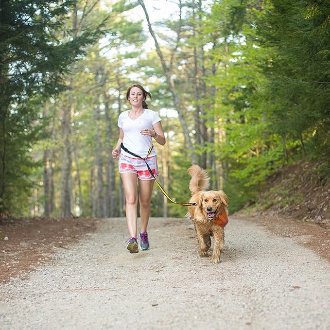 Kurgo Quantum 6-in-1 Dog Leash, Multi-Use Dog Lead for Walking & Running, Adjustable, Hands-Free Option, Coastal Blue