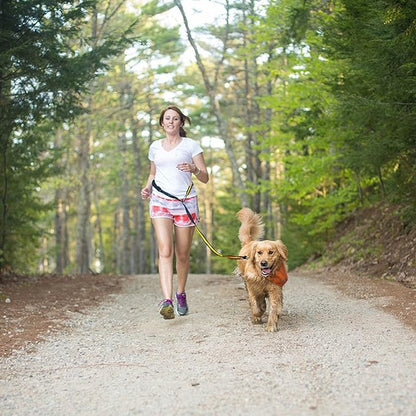 Kurgo Quantum 6-in-1 Dog Leash, Multi-Use Dog Lead for Walking & Running, Adjustable, Hands-Free Option, Coastal Blue