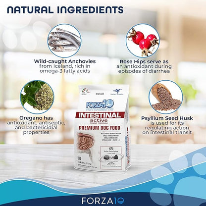Forza10 Active Dry Intestinal Dog Food, Gastrointestinal Dog Food, Digestive and Intestinal Diet Dry Dog Food for Adult and All Breeds (6 Pounds)