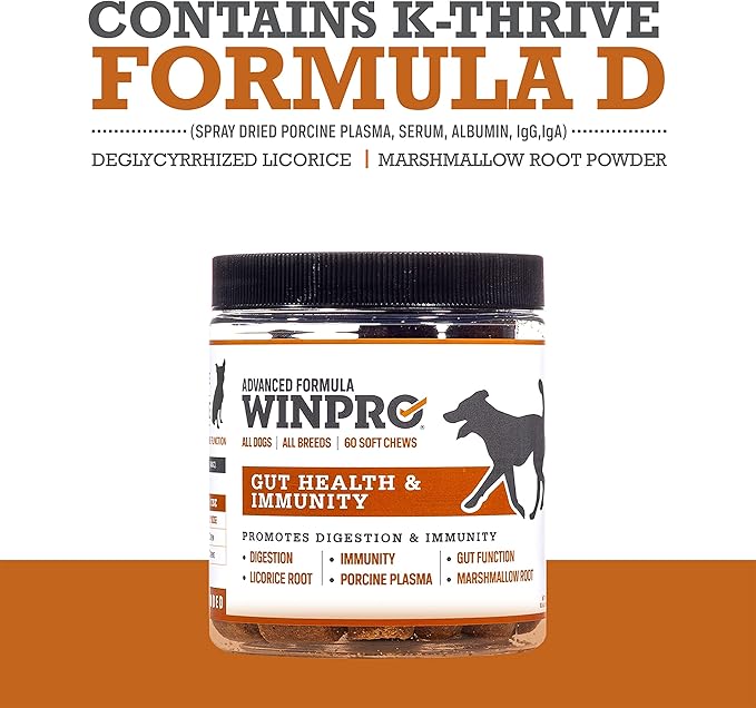 WINPRO | Dog Gut Health Supplement, Plasma-Powered Chews for Digestive Health, Fast Acting Immune Support in Dogs of All Breeds and Sizes, 60 Count, Made in USA