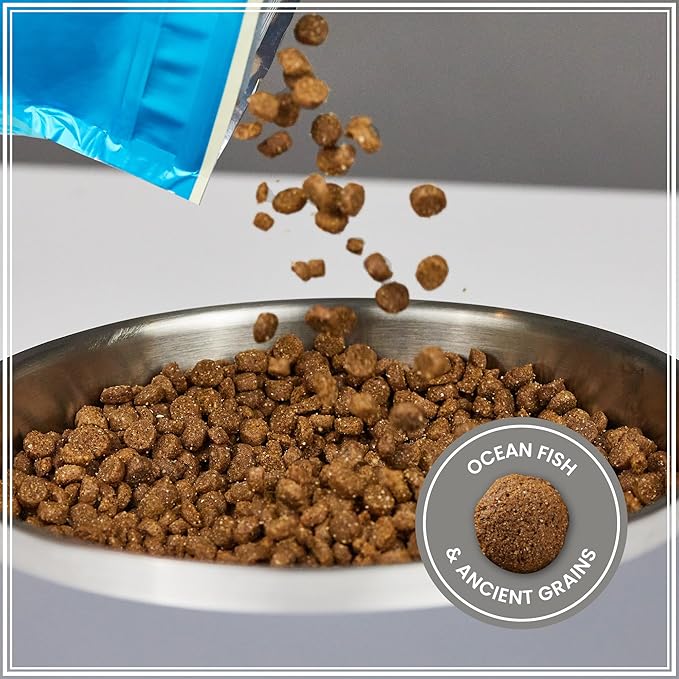 Muenster Ancient Grains Dog Food (4lb) - Ocean Fish Dry Dog Food for Large Dogs – Gluten Free, Non-GMO High Protein Dog Food - Healthy Digestive Dog Kibble for All Life Stages
