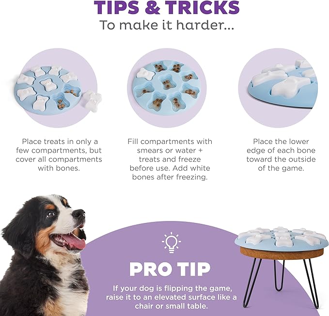 Outward Hound Nina Ottosson Puppy Smart Dog Puzzle Interactive Treat Puzzle Dog Enrichment Dog Toy for Puppies, Level 1 Beginner, Blue